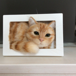 羊毛フェルト フレームねこ 茶トラ