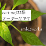 cari-na522様オーダー品です！