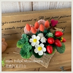 🍓粘土の花・ダーウィンオレンジ・ミニチューリップ&苺ミックス/ピンクのハートピックメッセージ付・麻布付、白花器🌷🌷