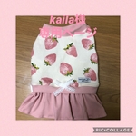 犬服　桃いちごワンピ♡