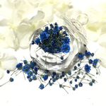 限定1個！かすみ草規格外サイズ＊Blue Rose＊