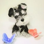 ペットをストラップに！（カイちゃん）