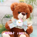 限定品❣️イースター🐣ひよこさんのチョーカー💖