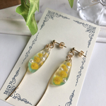 【今だけ送料無料】.*･ﾟドライフラワー×ミモザ レジン ピアス .ﾟ･*.