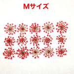 【15枚】レースフラワー の押し花（レッド）