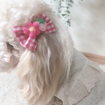 犬用リボン2個