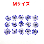【15枚】レースフラワー の押し花（ラベンダー）