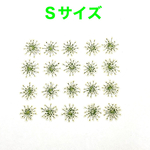 【20枚】ミニレースフラワー の押し花（ホワイト）Ｓサイズ