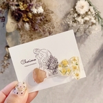 新作♡*°変形レジン×ドライフラワー×パール アシンメトリー イヤリング ピアス