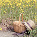 hiyori_0303様専用