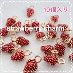 【再入荷しました】❤️10個入り プチプチ いちごチャーム❤️No.1