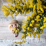 camrsn06様専用ページ