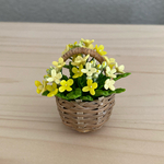 菜の花