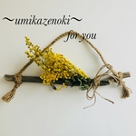 流木　🌿　ミモザ  の　ドライフラワー　スワッグ　付き