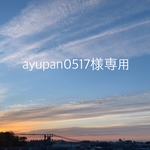 <ayupan0517様専用>移動ポケットクリップ