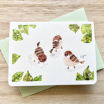 🐤2枚セット「すずめたち」水彩画イラストミニカード　バースデーカード　母の日　母の日カード　春　スズメ　雀　鳥　小鳥🐤