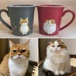 モコちゃんのマグカップ