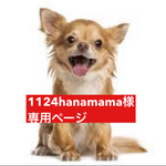 専用ページ