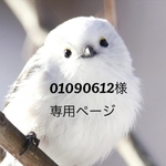 01090612様専用ページ