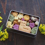 「ねこたちの花畑♪野菜クッキー缶」（S）【5/7（金）～9（日）配送】