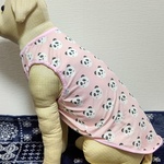 大型犬服ピンクパンダ柄