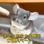 茶々丸大吉さま専用うちの子お名前プレートご購入ページ