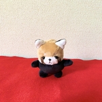 プチレッサーパンダのぬいぐるみ