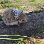 花柄バブーシュカ　パープル