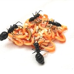 【オーダー品】大きいありんこピアス&小さいありんこピアス