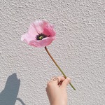 mini flower/ポピー/A0082