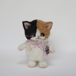 三毛猫さん