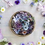 Bijoux frame＜aubergine＞＊フレームアレンジ＊ボタニカル＊クラ＊シカル＊プリザーブドフラワー＊お花＊ギフト＊結婚祝い＊記念日＊新築祝い＊母の日＊1点もの