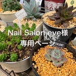 Nail salon eve様専用ページ