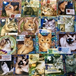 (再販×12)ニャンコの紙モノセットQ＊コラージュ素材＊コラージュペーパー＊ジャンクジャーナル