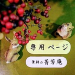 chasama様  追加専用ページです（他の方はご購入できませんのでご注意下さい）