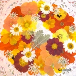 ♡new♡  ♡可愛い押し花セット♡ ♡たくさん入って使いやすい押し花セット♡