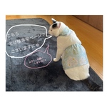 小箱＊「あの頃わたしは(深緑)」