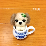 カップにちょこんとシーズー