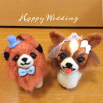 パピヨンのウェディング