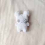 【Ringopan様専用】かわいいちゃん