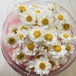 花かんざし　ドライフラワー　50輪♡