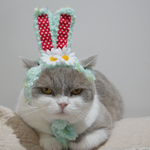 スプリング　ラビット🐰