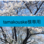tamakouske様専用