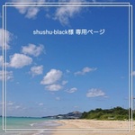 shushu-black様 専用ページ  A「【カーマイン3、鴇色1、ワインレッド1】85mm 1本」他6点