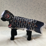 犬用❤︎鯉のぼりポンチョ❤︎Mサイズ黒色
