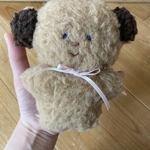 てのひらさん