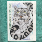 ユキヒョウ　A4サイズ　不織布ファイル 