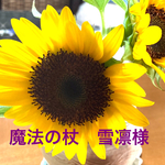 魔法の杖　雪凛様