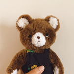 patapataさまご注文　niimicoteddy 