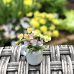 ミニチュアフラワー　ビオラ　寄せ植え